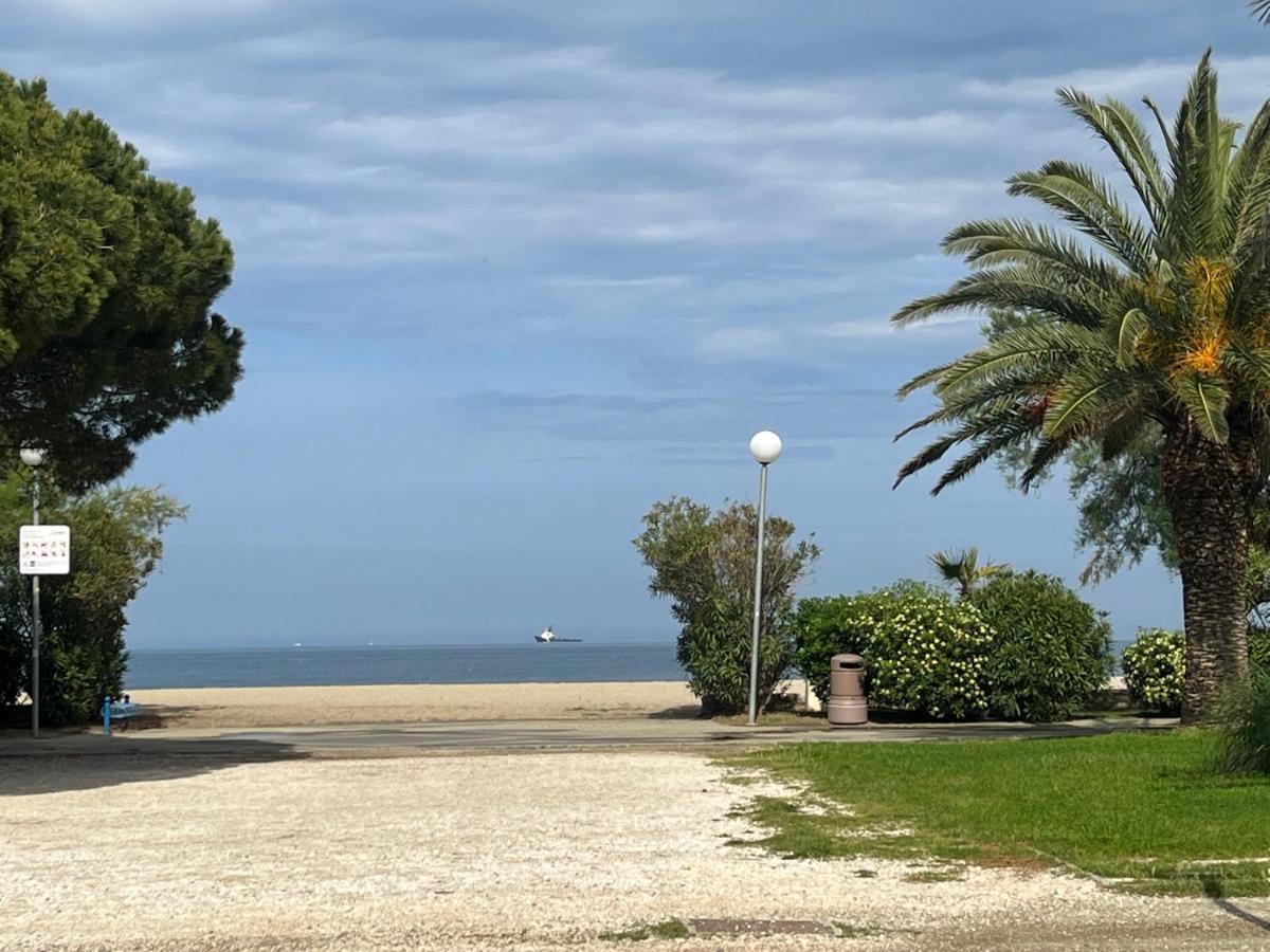 Grand F3 Vue Mer Centre Plage Proche Commerces Plage d'Argeles Экстерьер фото