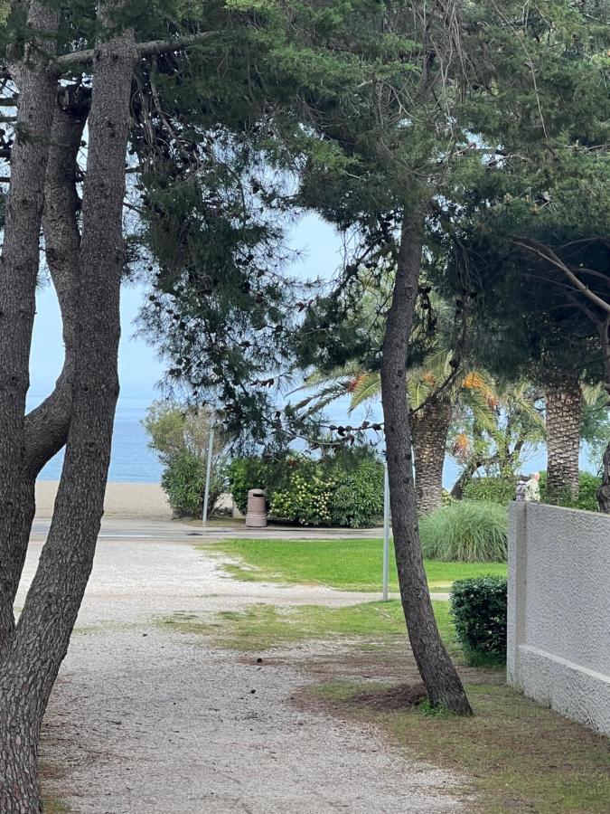 Grand F3 Vue Mer Centre Plage Proche Commerces Plage d'Argeles Экстерьер фото
